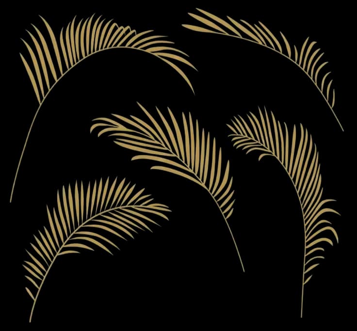 Background Leaf